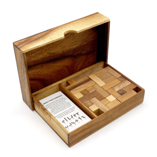 Folding Double Pentominoes With Cards - Image 3