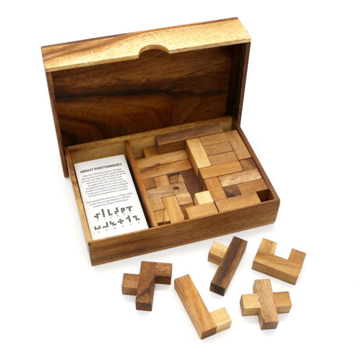 Folding Double Pentominoes With Cards - Image 5