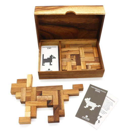 Folding Double Pentominoes With Cards - Image 6
