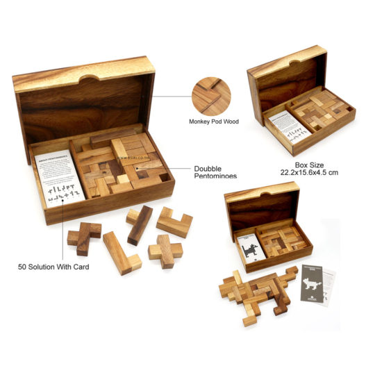 Folding Double Pentominoes With Cards - Image 4