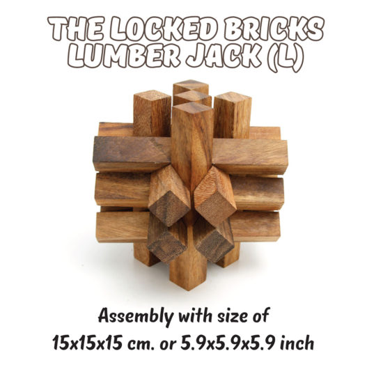 The Locked Bricks Puzzle - Image 3