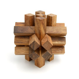 The Locked Bricks Puzzle