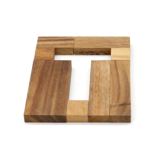 Find the T Puzzle