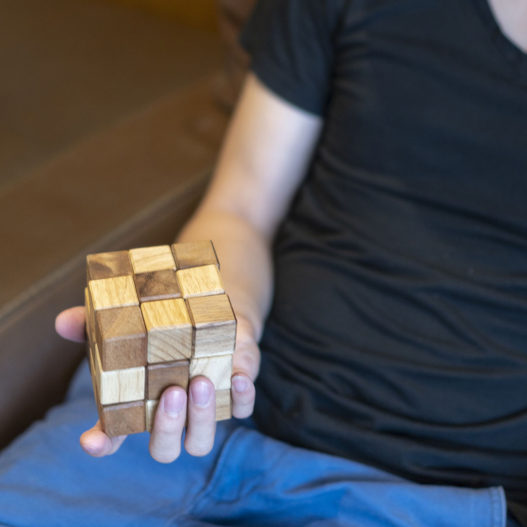 Snake Cube - Image 13