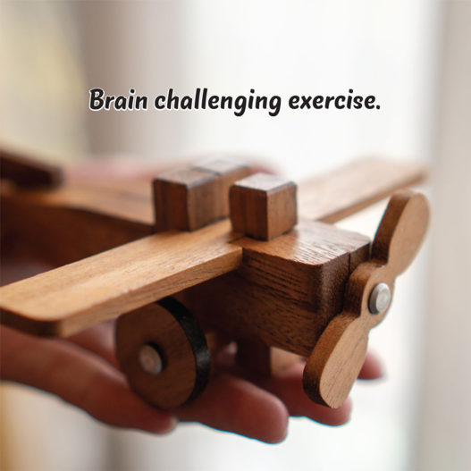 The Airplane Puzzle - Image 9