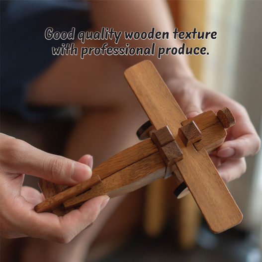 The Airplane Puzzle - Image 11