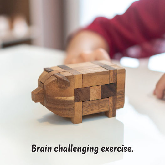 Piggie Puzzle - Image 12